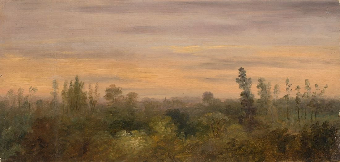 Vista sul limite del bosco